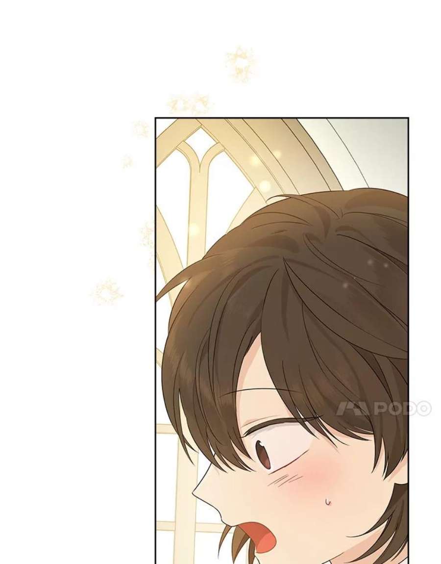 真与假的精灵师少女46.侍女叛变了？