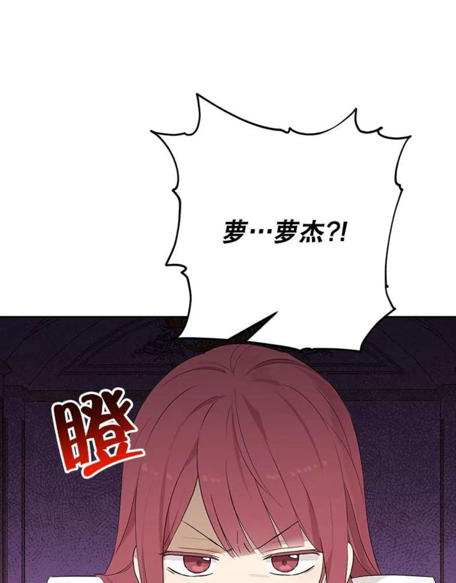 真与假的精灵师少女46.侍女叛变了？