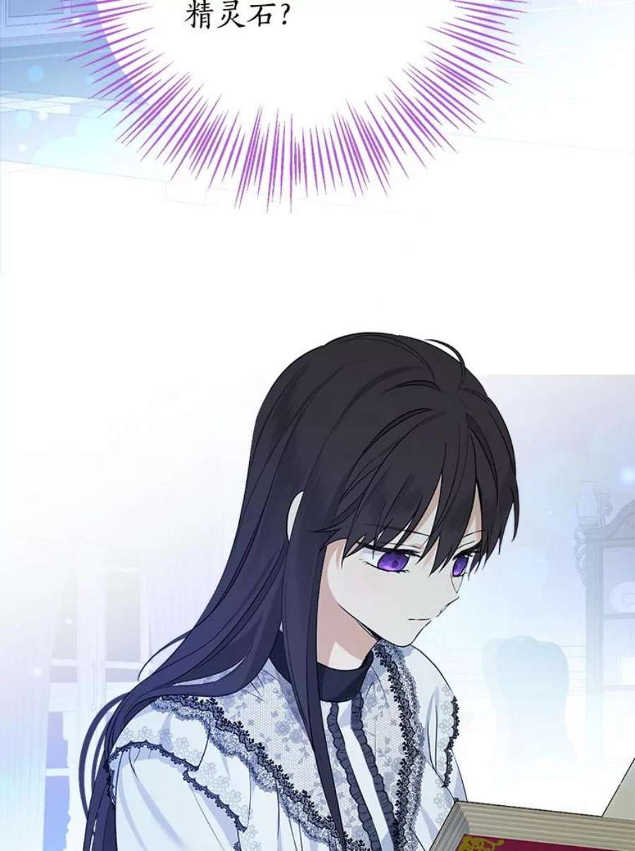 真与假的精灵师少女48.精灵石的秘密？