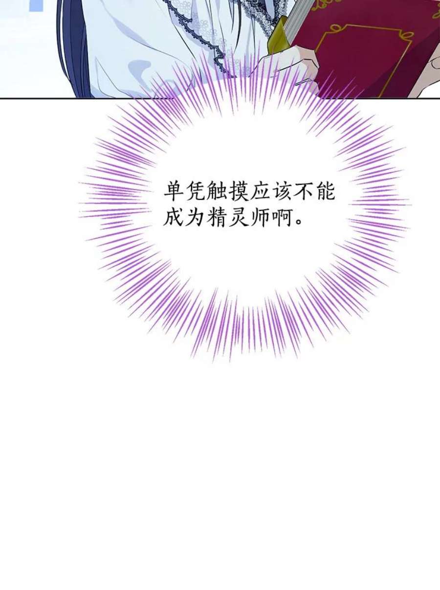 真与假的精灵师少女48.精灵石的秘密？