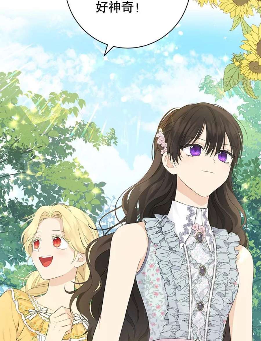 真与假的精灵师少女48.精灵石的秘密？