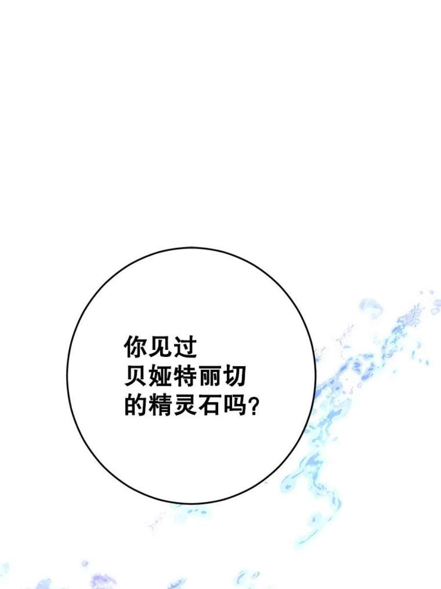 真与假的精灵师少女48.精灵石的秘密？