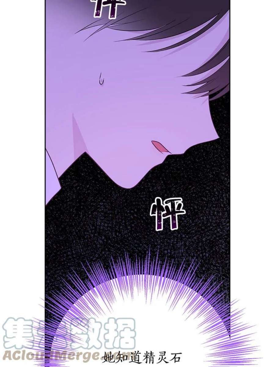 真与假的精灵师少女48.精灵石的秘密？