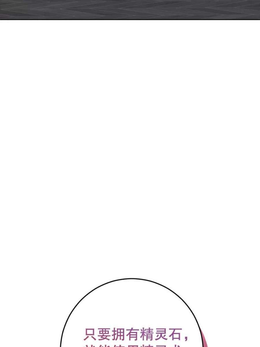 真与假的精灵师少女48.精灵石的秘密？