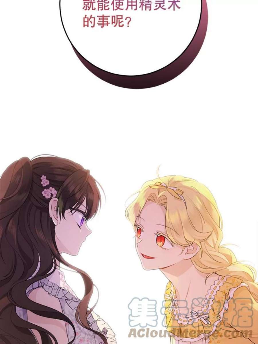 真与假的精灵师少女48.精灵石的秘密？