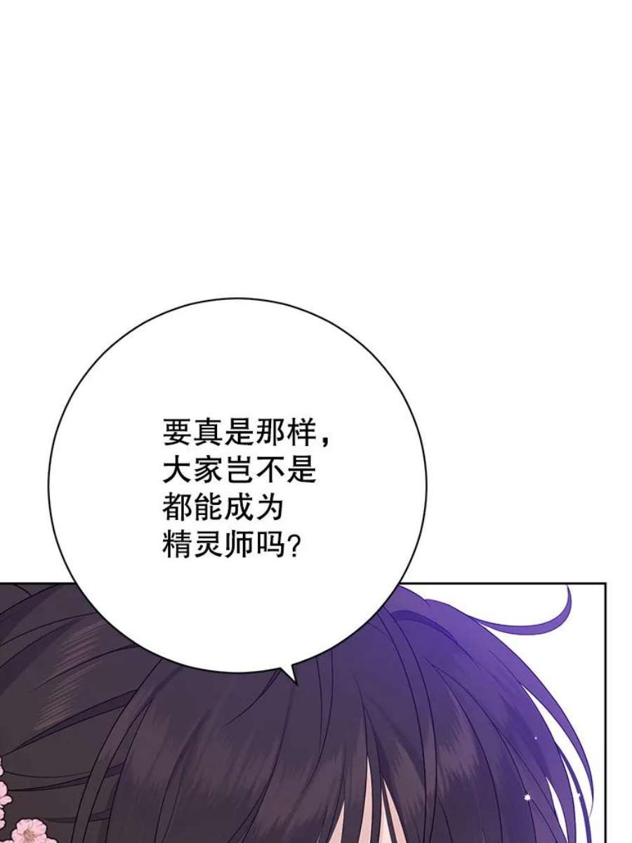真与假的精灵师少女48.精灵石的秘密？