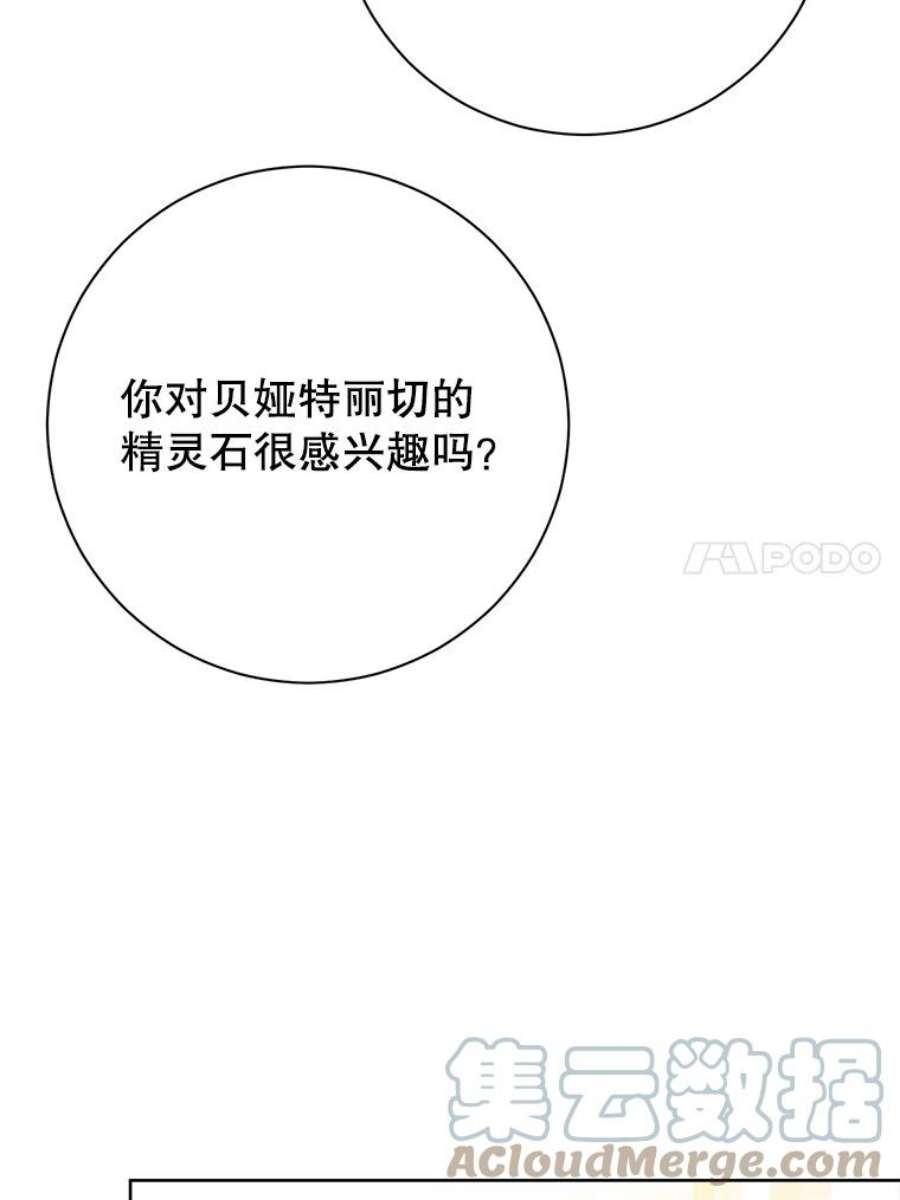 真与假的精灵师少女48.精灵石的秘密？