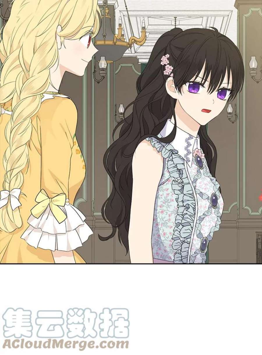 真与假的精灵师少女48.精灵石的秘密？