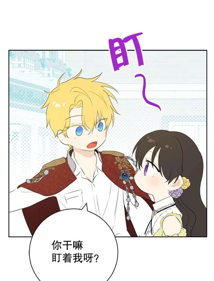 真与假的精灵师少女51.真相大白