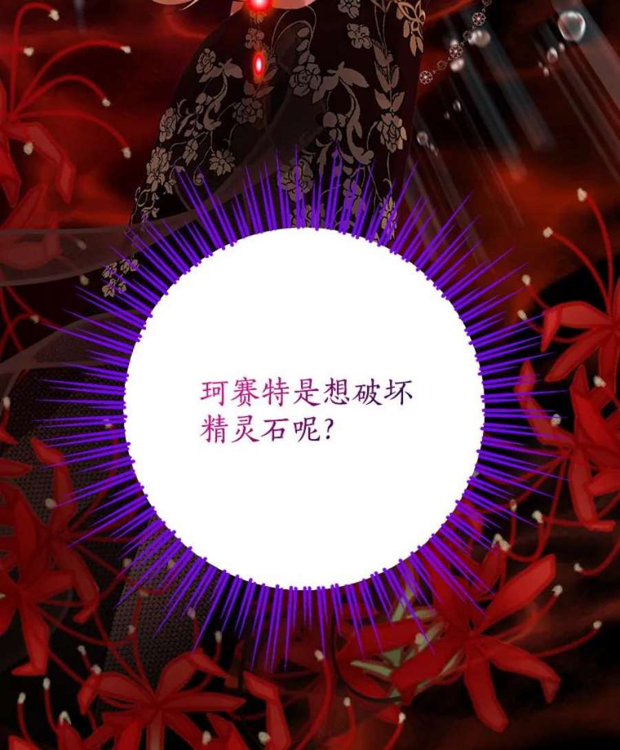 真与假的精灵师少女51.真相大白