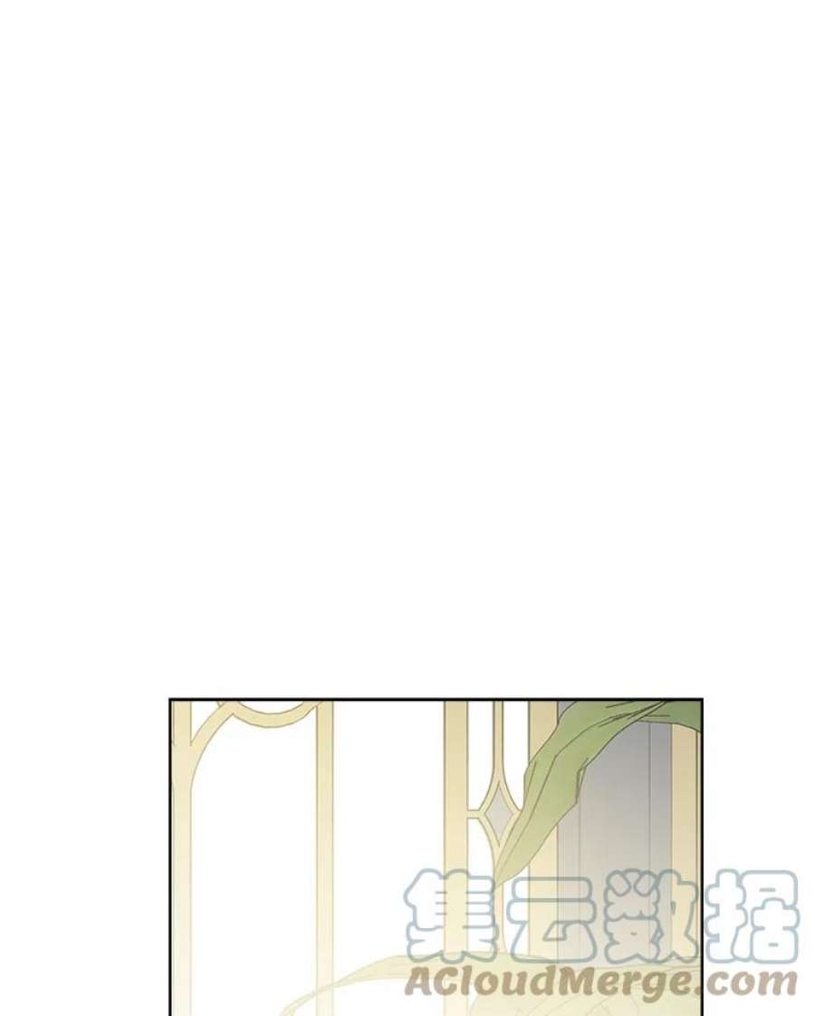 真与假的精灵师少女52.脸红心跳的距离