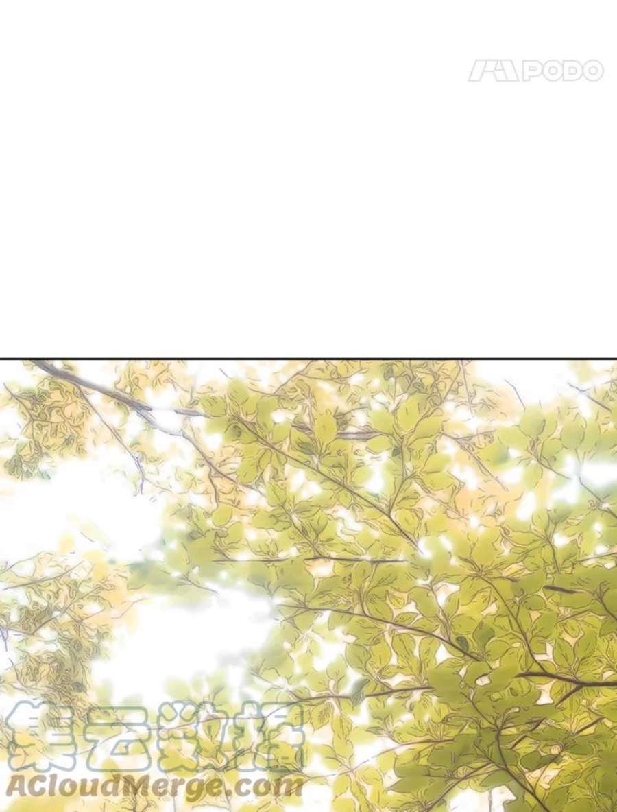 真与假的精灵师少女53.打脸现场