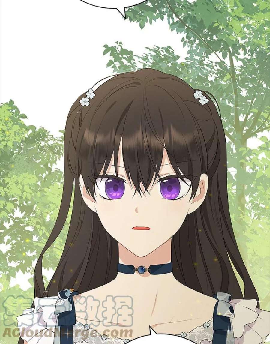 真与假的精灵师少女55.惊天大秘密