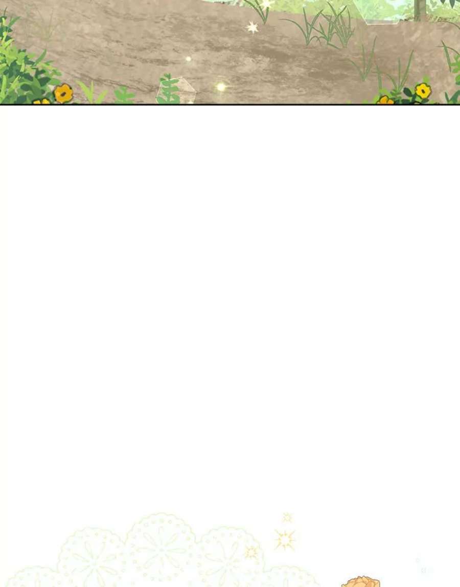 真与假的精灵师少女55.惊天大秘密