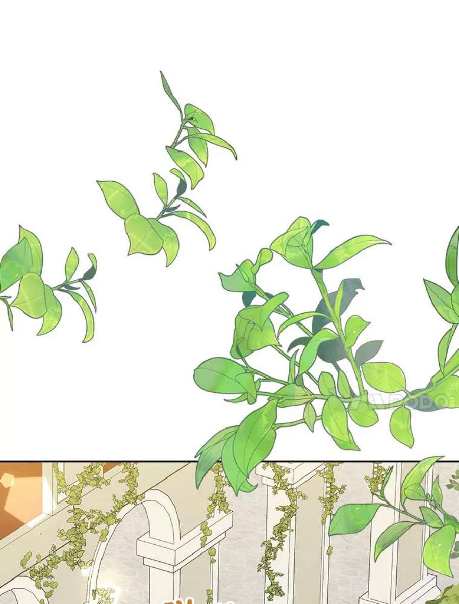 真与假的精灵师少女55.惊天大秘密