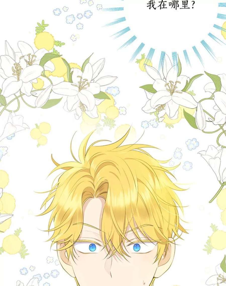 真与假的精灵师少女57.审问“女婿”