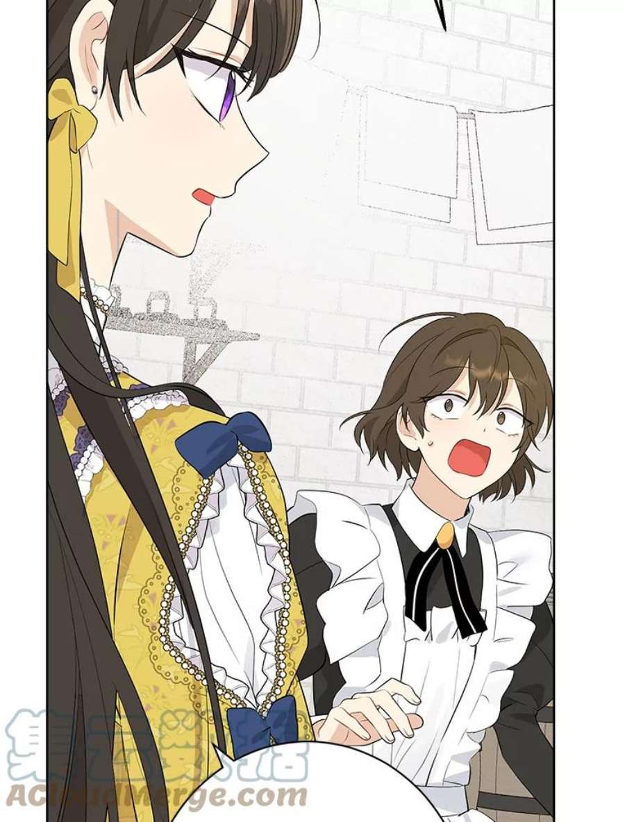 真与假的精灵师少女59.女仆的诡计