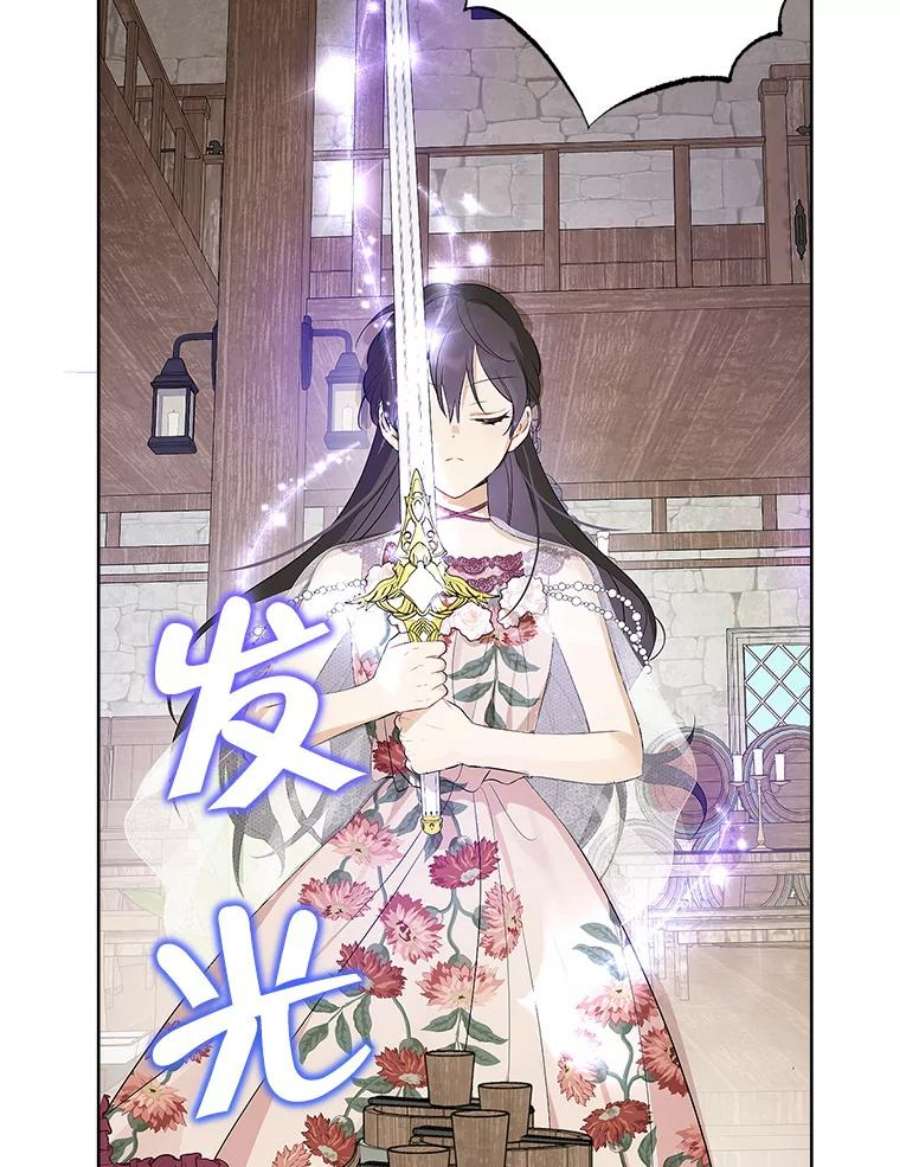 真与假的精灵师少女60.重话团长之位