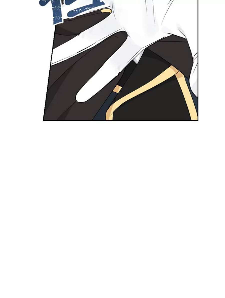 真与假的精灵师少女60.重话团长之位