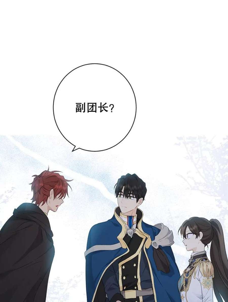 真与假的精灵师少女60.重话团长之位