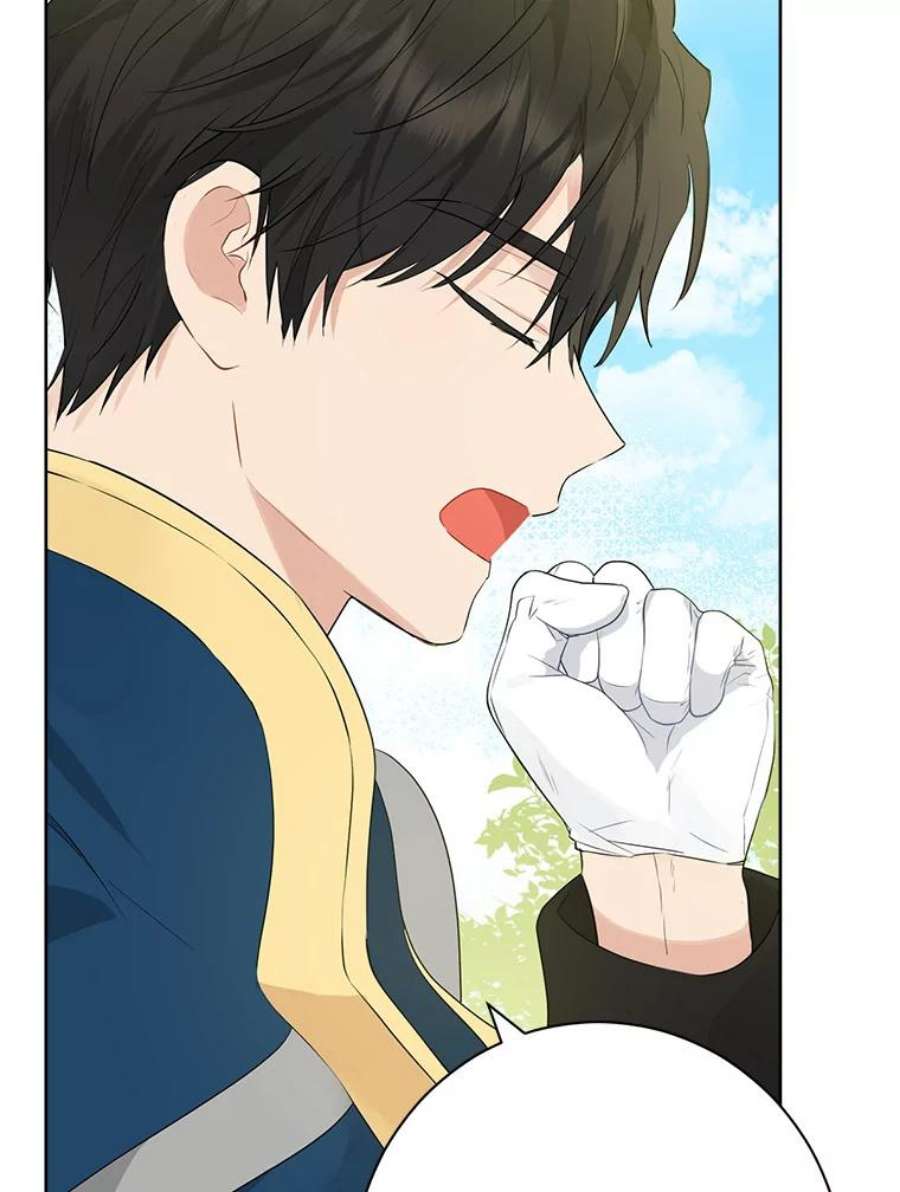 真与假的精灵师少女60.重话团长之位