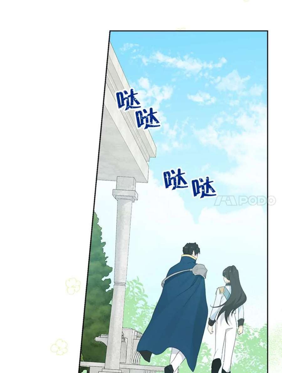 真与假的精灵师少女60.重话团长之位