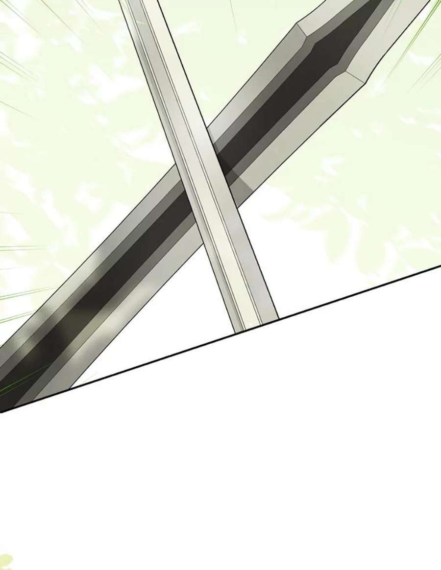 真与假的精灵师少女60.重话团长之位