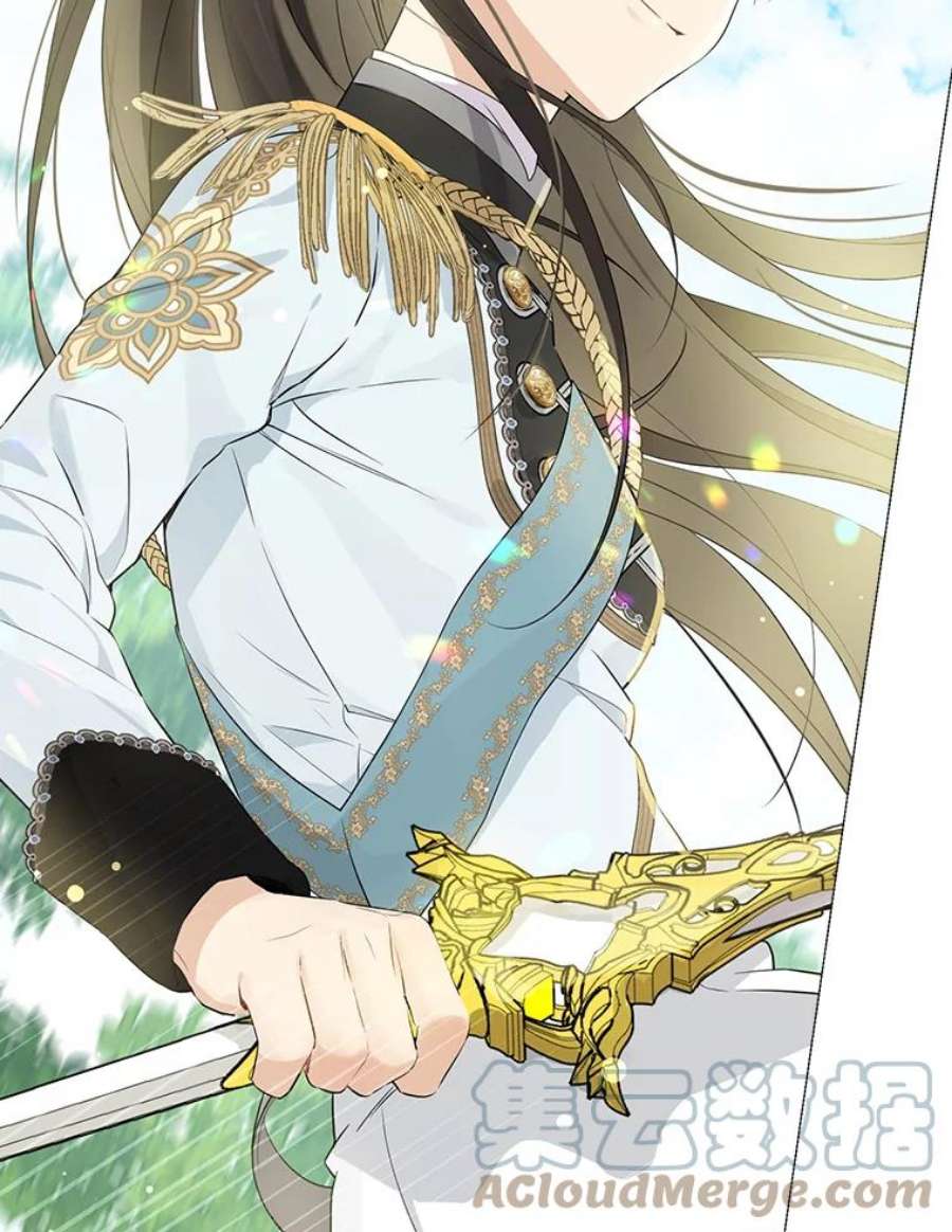 真与假的精灵师少女60.重话团长之位