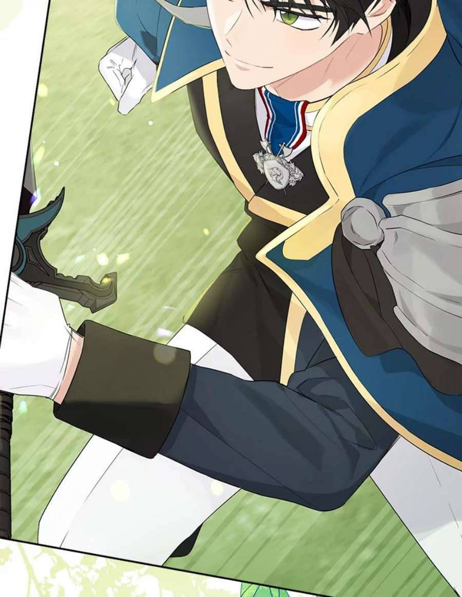 真与假的精灵师少女60.重话团长之位