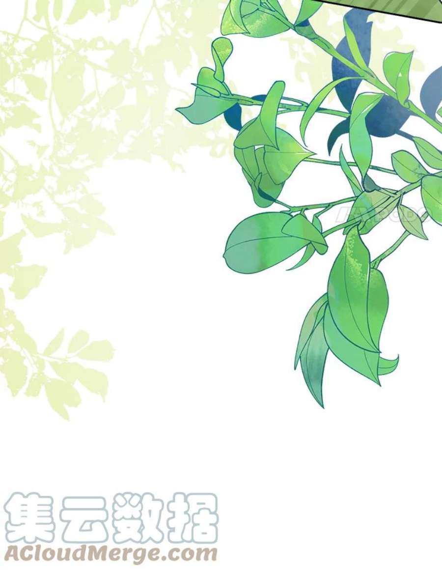 真与假的精灵师少女60.重话团长之位