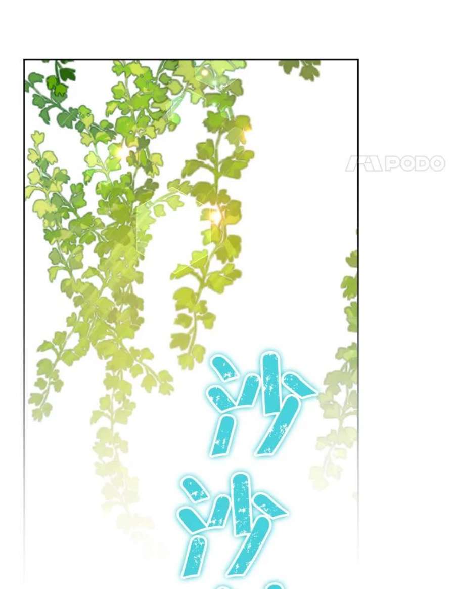 真与假的精灵师少女60.重话团长之位