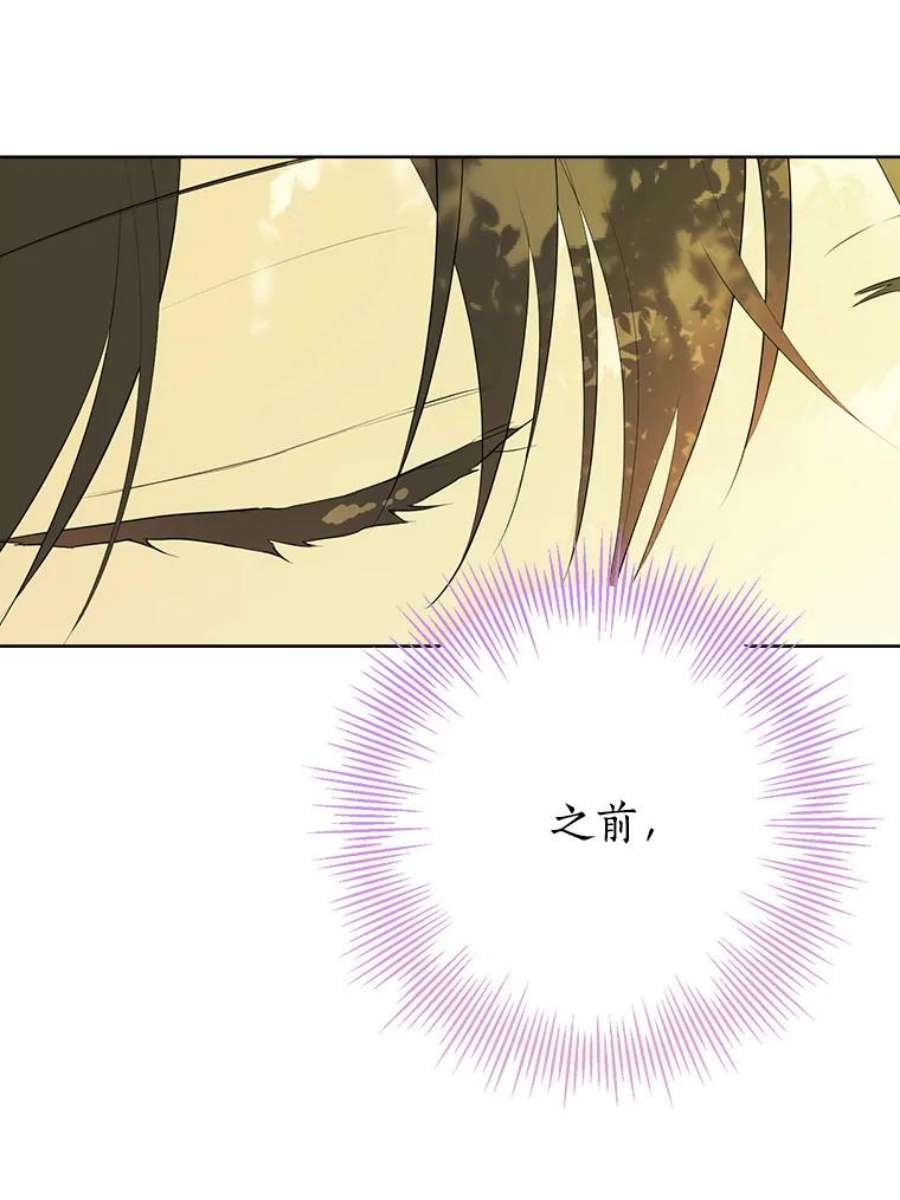 真与假的精灵师少女60.重话团长之位