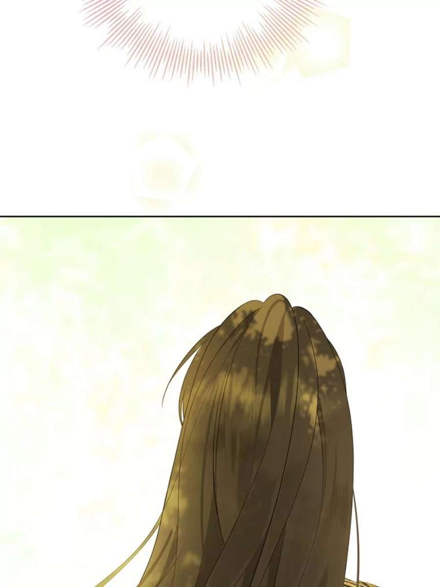 真与假的精灵师少女60.重话团长之位