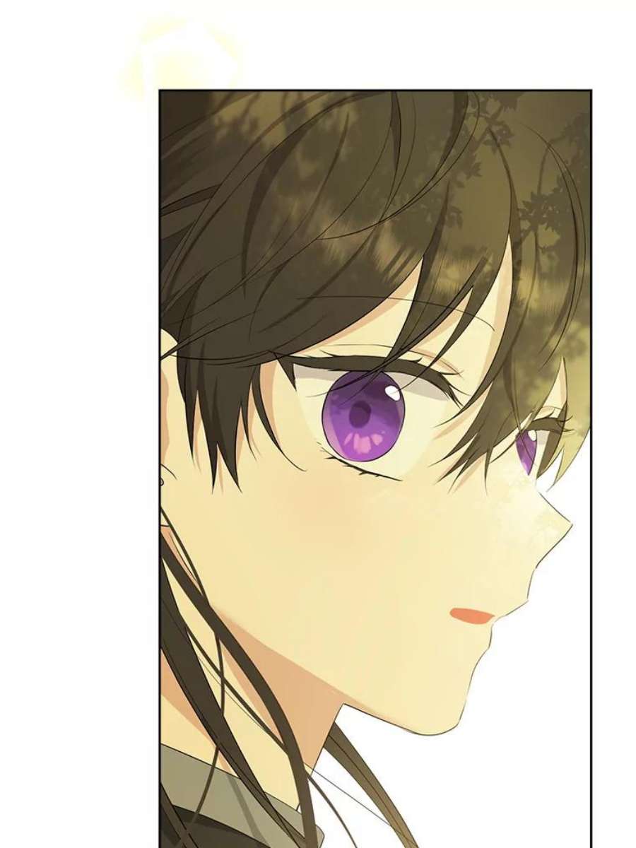 真与假的精灵师少女60.重话团长之位