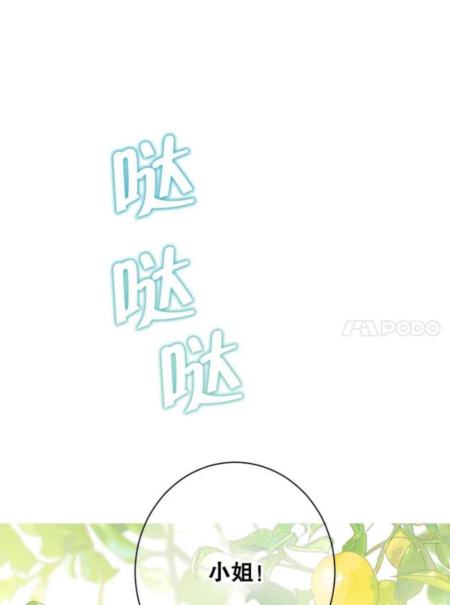 真与假的精灵师少女60.重话团长之位