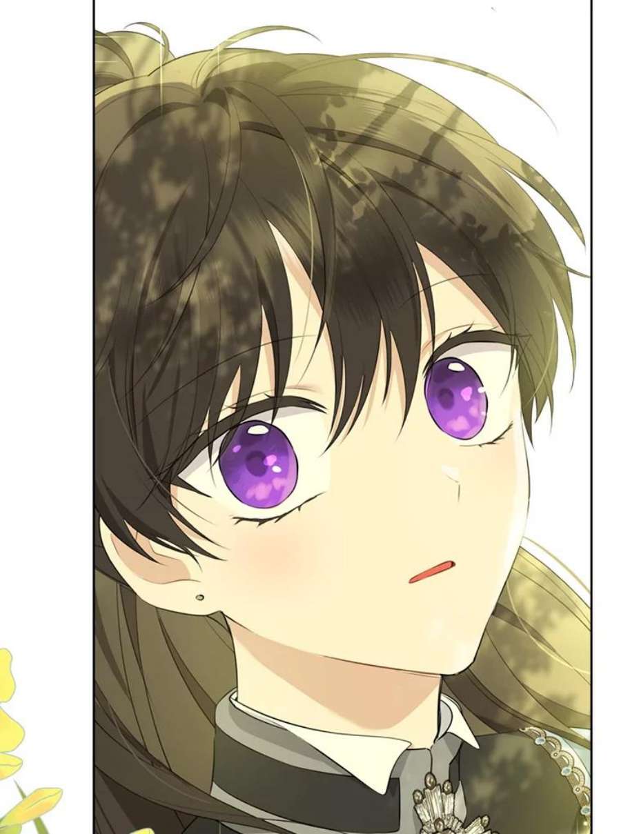 真与假的精灵师少女60.重话团长之位