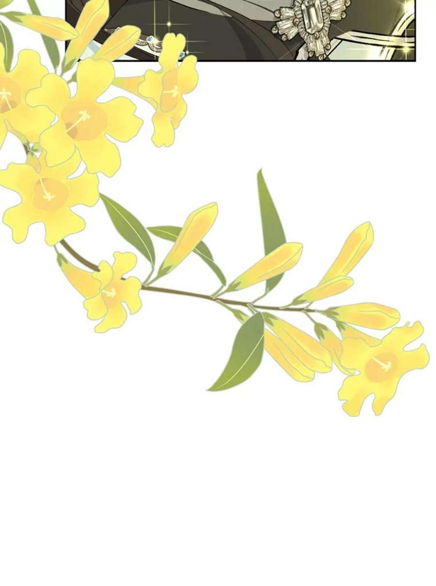 真与假的精灵师少女60.重话团长之位