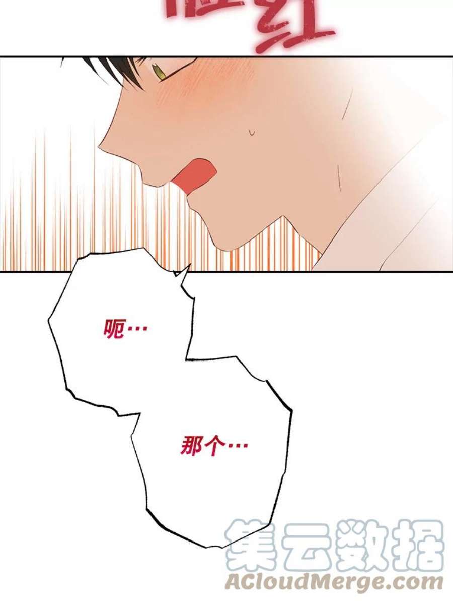 真与假的精灵师少女61.我是疯了吧