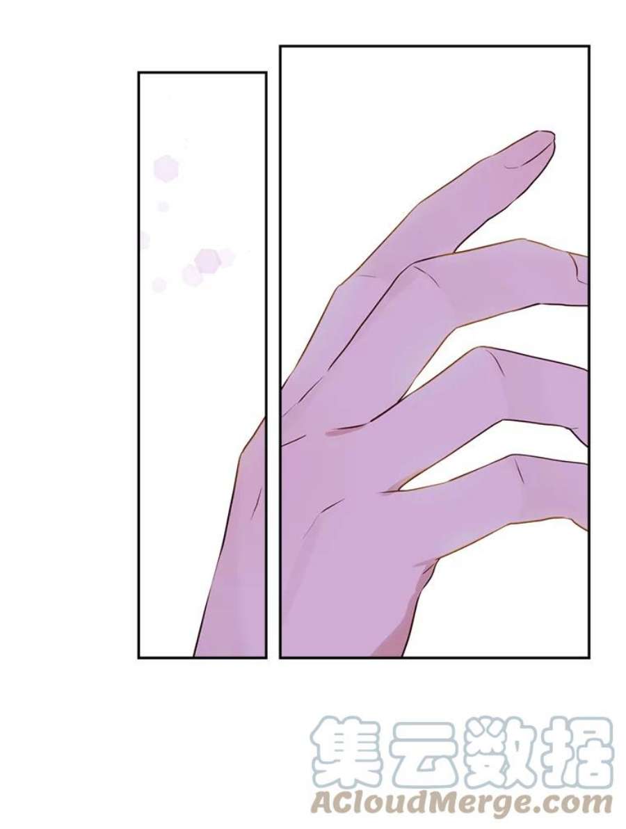 真与假的精灵师少女61.我是疯了吧