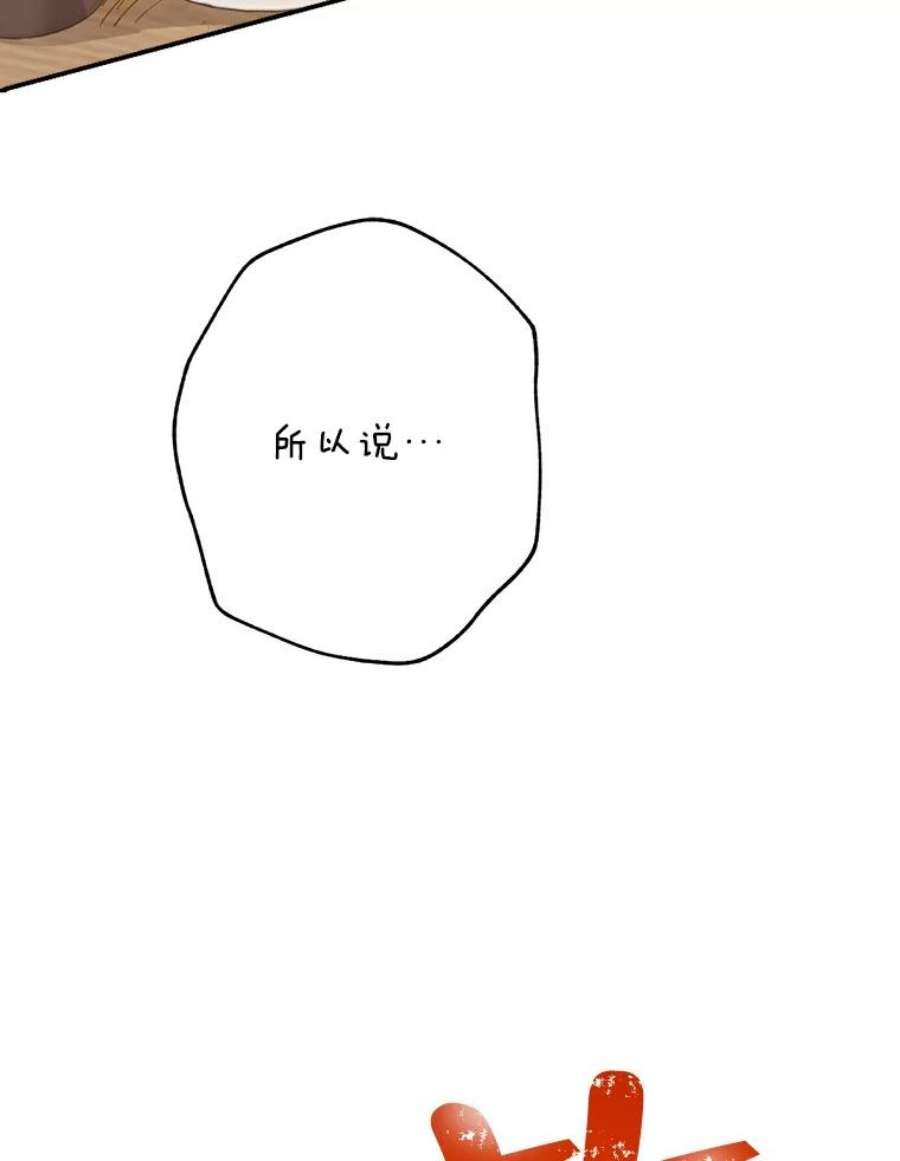 真与假的精灵师少女61.我是疯了吧