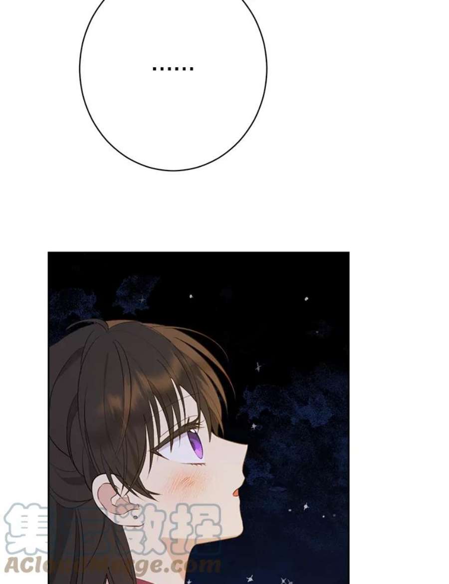 真与假的精灵师少女61.我是疯了吧