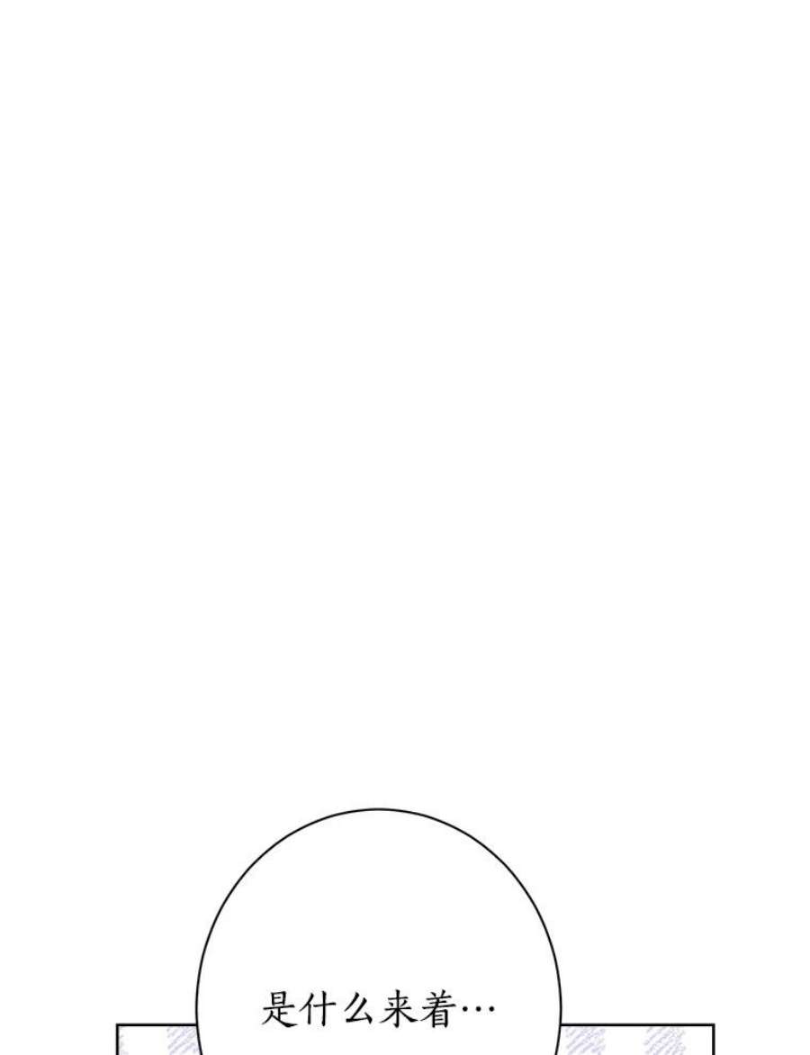 真与假的精灵师少女61.我是疯了吧