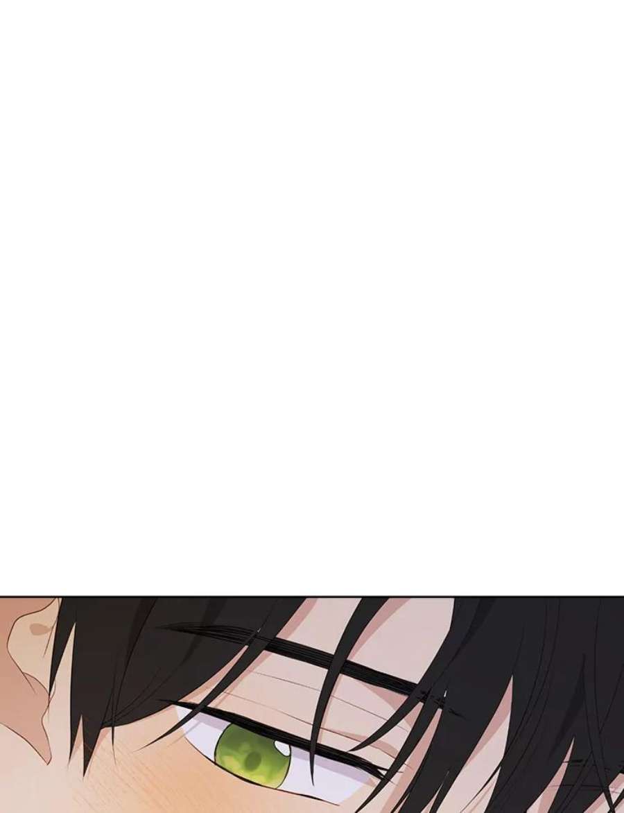 真与假的精灵师少女61.我是疯了吧