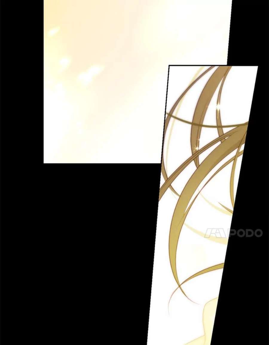 真与假的精灵师少女61.我是疯了吧