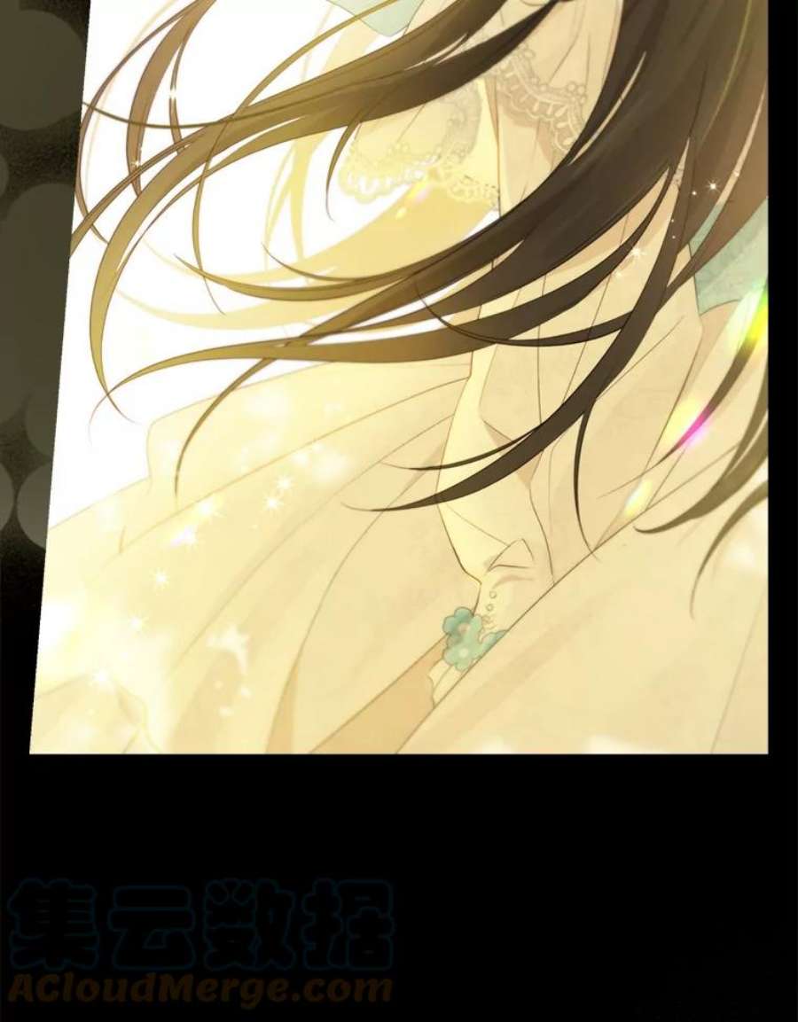 真与假的精灵师少女61.我是疯了吧