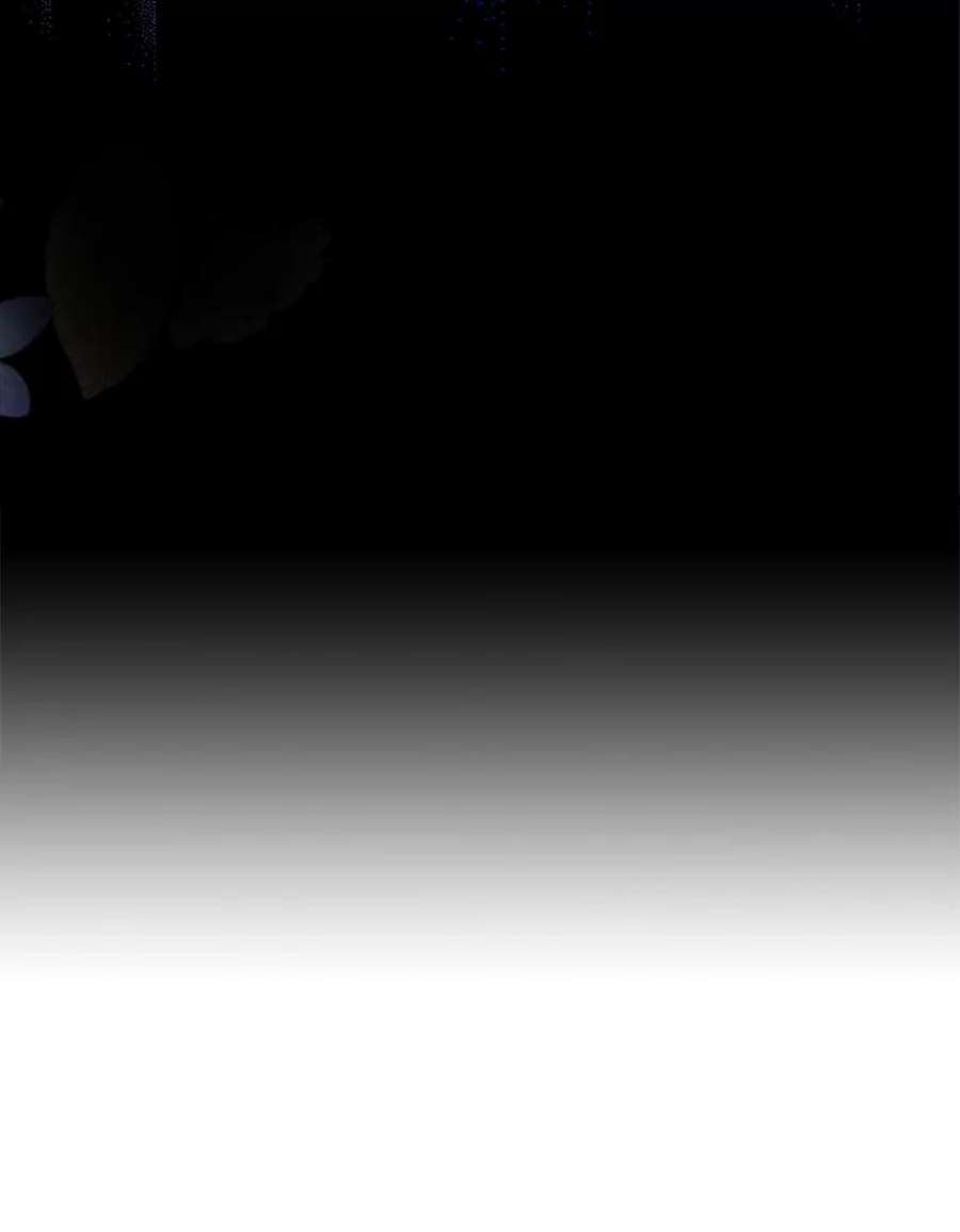 真与假的精灵师少女62.珂赛特的阴谋