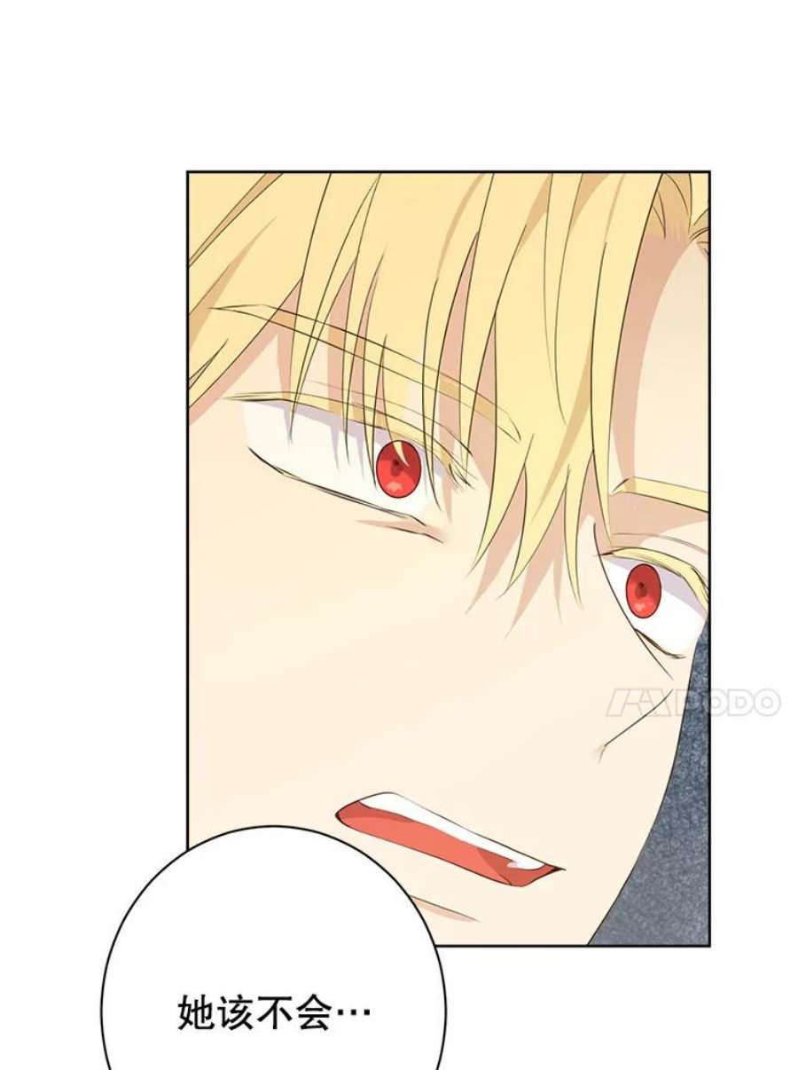 真与假的精灵师少女62.珂赛特的阴谋