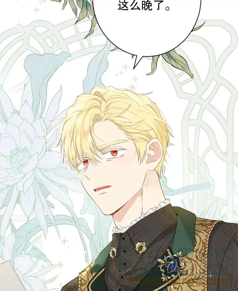 真与假的精灵师少女62.珂赛特的阴谋