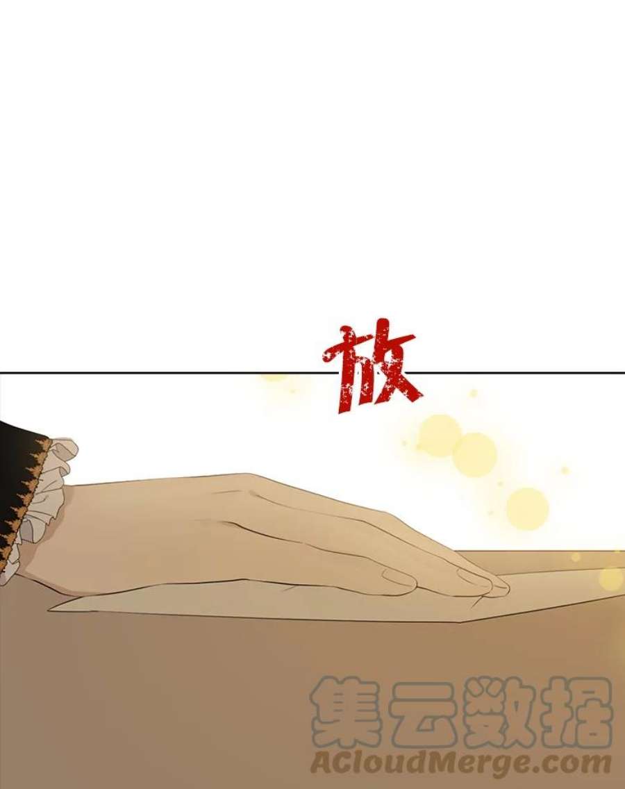 真与假的精灵师少女62.珂赛特的阴谋