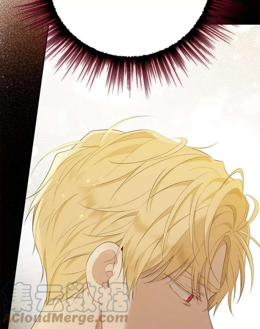 真与假的精灵师少女62.珂赛特的阴谋